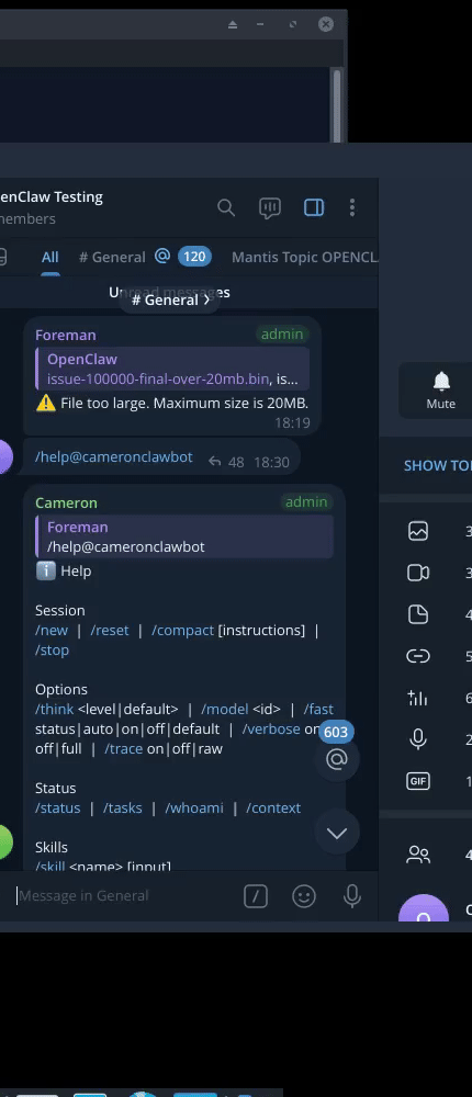 Baseline native Telegram Desktop proof GIF